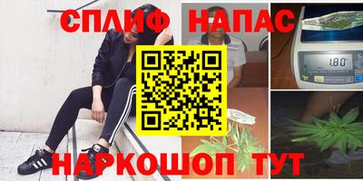 индика Балахна