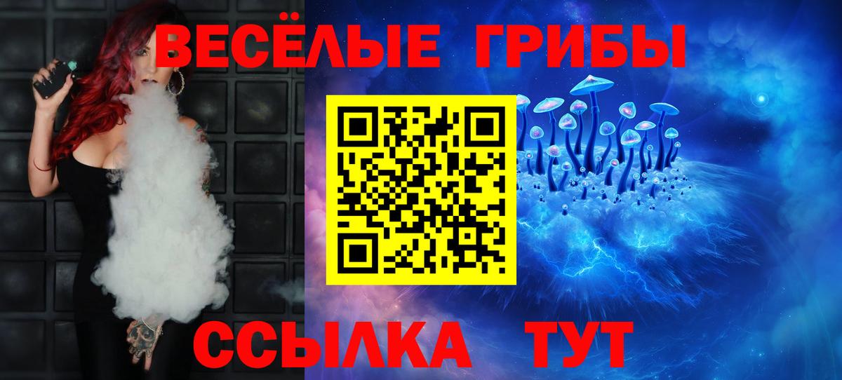 Галлюциногенные грибы Cubensis  Вход с VPN  Елец  Псилоцибиновые грибы GOLDEN TEACHER 